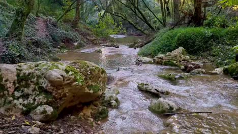 Fluss-Im-Wald-Im-Dorf-Kiprianades-Im-Norden-Von-Korfu