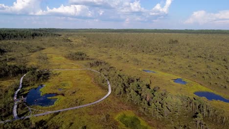 Aerial-drone-of-Riisa-bog-in-Soomaa,-Estonia-during-summer
