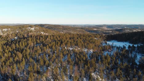 Luftaufnahme-Von-Fichten-Baumwipfeln-In-Einem-Schnee-Winter-Wald
