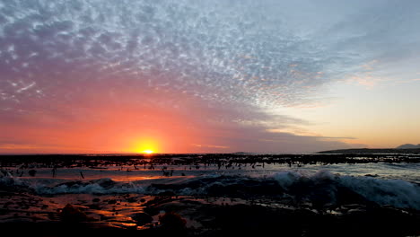 Vibrant-coastal-sunset,-sun-on-horizon-reflecting-off-ocean-with-kelp