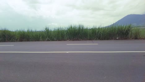 A-panning-shot-of-an-empty-road-from-left-to-right,-surrounded-by-tall-grass