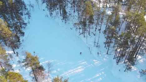 Aerial-Shot-Of-A-Female-Cross-Country-Skier-Through-Frozen-Forest