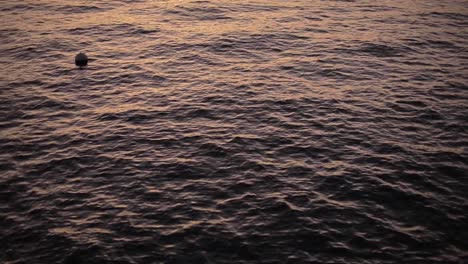 Sonnenuntergangslicht,-Das-Auf-Der-Wasseroberfläche-Des-Sees-Reflektiert-Wird