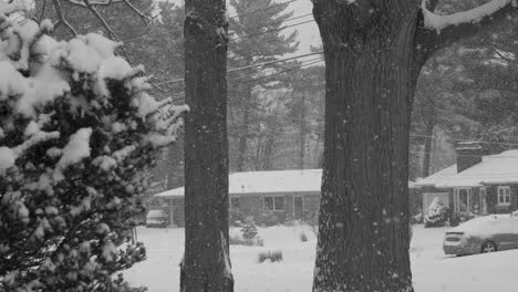 January-snow-flakes-falling-heavy-across-a-suburban-area