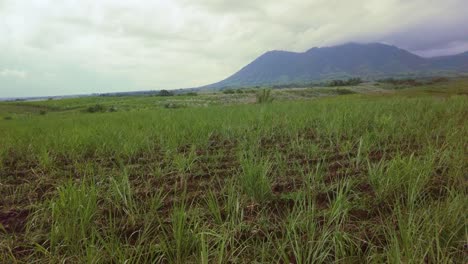 A-jib-shot-of-a-sugarcane-field-with-mountains-beyond