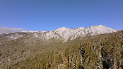 Alejarse-Del-Pico-De-La-Montaña-Y-Sobre-Los-Abetos-De-Douglas-En-El-Lago-Tahoe,-Nevada-En-Un-Hermoso-Día-De-Cielo-Azul-Claro