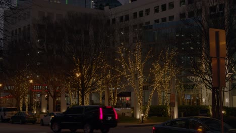 Lit-up-trees-in-the-center-of-a-bustling-city