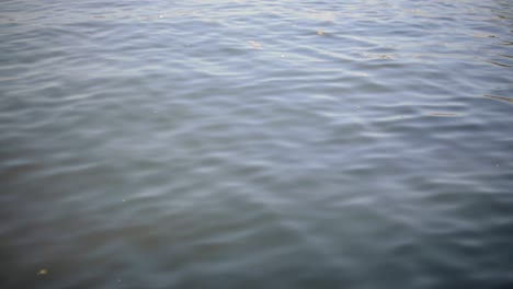 Friedliche-Bewegung-Von-Wasser-Kräuselt-Sich-Auf-Der-Oberfläche-Eines-Sees