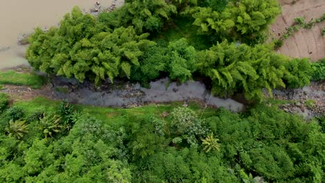 Aerial-top-down-descending-over-creek-of-Progo-river,-Magelang-in-Central-Java