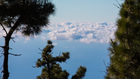 Timelapse-of-clouds-above-forest-in-La-Palma,-Canary-Islands