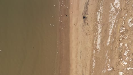 A-top-down-view-directly-above-two-people-walking-on-the-beach-of-Coney-Island-Creek-on-a-winter-day