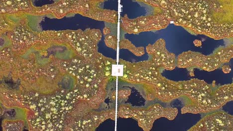 Aerial-top-down-drone-clip-from-Männikjärve-bog-during-sunset-in-Estonia