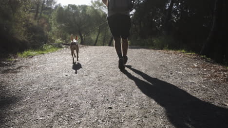Preparándose-Para-Correr-Con-Un-Cachorro-De-Sabueso-Hacia-La-Naturaleza-En-España
