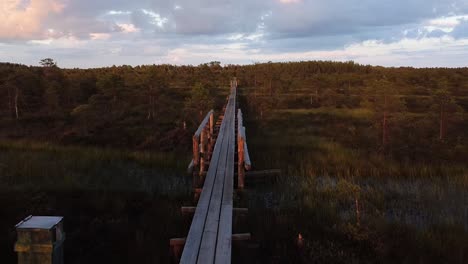 Flying-or-walking-along-the-wooden-pathway-in-Männikjärve-bog-in-Estonia-during-sunset-golden-hour