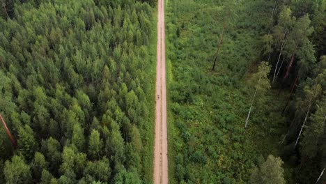 A-solo-hiker-walking-on-a-gravel-path-in-an-Estonian-forest-during-green-summer