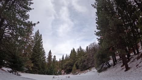Snowy-winter-wonderland-in-a-pine-forest-cloudscape-over-the-tall-trees---wide-angle-time-lapse