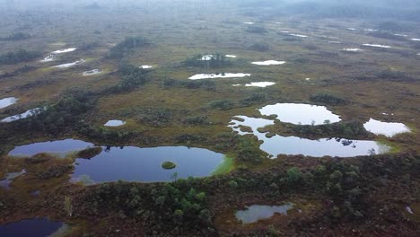 Aerial-drone-clip-during-foggy-sunrise-in-an-Estonian-bog