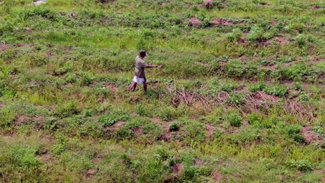 Man-collecting-cut-branches-in-field,-Indonesia,-Asia