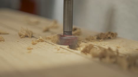 Pillar-drillbit-cutting-holes-in-white-oak-CLOSE-UP