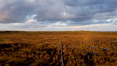 Cloudy-sunset-in-Endla-bog-in-Estonia
