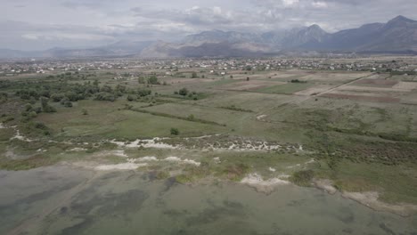 Video-Con-Un-Dron-Sobre-El-Lago-Skadar-En-Albania,-Desde-Un-Plano-Descriptivo-Con-Marcha-Atrás-Dejando-El-Pueblo-Grude-Fushe-En-El-Horizonte-Con-Las-Montañas