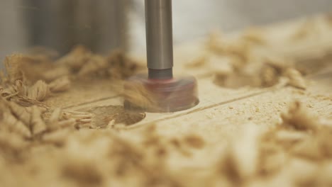 Close-up-pillar-drillbit-cutting-holes-in-white-oak-timber
