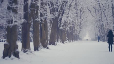Der-Erste-Schnee-Im-Stadtpark