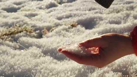 Woman-hand-showing-snowflakes-glittering-in-the-sun-with-a-frozen-winter-landscape-slow-motion-4K