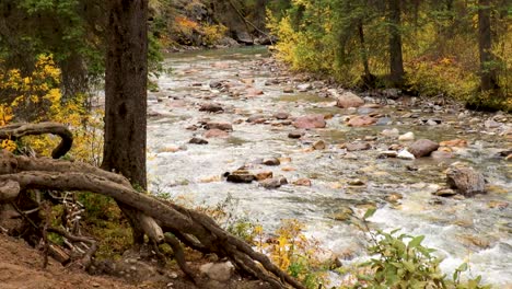 Johnston-Creek-Im-Banff-National-Park,-Bevor-Er-In-Den-Bow-River-Mündet