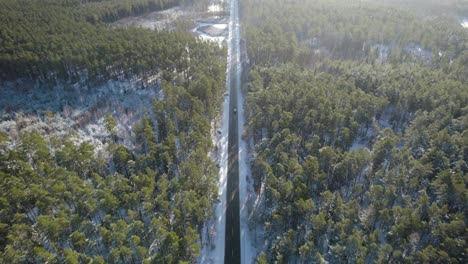 Aerial-establishing-wide-shot-of-an-asphalt-straight-road-in-the-middle-of-the-forest-following-the-white-car