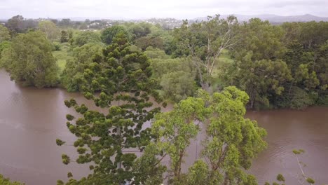 Statische-Luftaufnahme-Von-Bäumen-Und-Sträuchern-Mit-Einem-Golffeld-Im-Hintergrund-Am-Nerang-River,-Queensland,-Australien-An-Windigen-Tagen