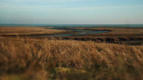 Panorama-seaside-coastline-Grass-in-the-wind-Island-Fanø-In-Denmark-near-the-Beach-And-Sea