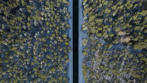 Aerial-top-down-shot-of-an-empty-due-to-the-pandemic-asphalt-straight-road-in-the-middle-of-the-forest-covered-with-snow-in-winter