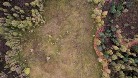Aerial-drone-footage-flying-over-a-diverse-habitat-of-peat-bog-and-sphagnum-moss,-a-diverse-canopy-of-native-forest-trees-and-moorland-at-Loch-Kinord,-Muir-of-Dinnet-National-Nature-Reserve,-Scotland