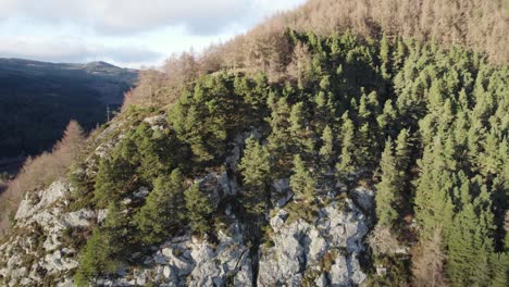 Aerial-drone-footage-flying-slowly-away-from-a-cliff-to-reveal-a-native-forest-on-top-of-a-mountain-with-Scots-pine-and-larch-trees-at-Polney-Crag-near-Dunkeld-Scotland