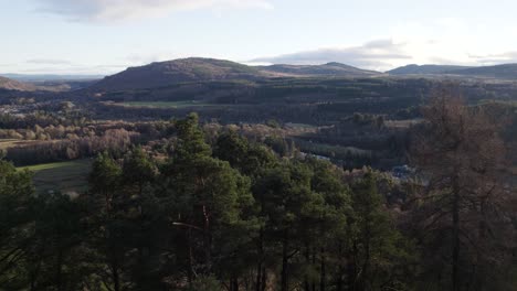 Aerial-drone-footage-flying-off-a-cliff-close-to-the-canopy-of-Scots-pine-and-larch-trees-to-reveal-a-hilly,-woodland-valley-landscape-in-winter-at-Polney-Crag-near-Dunkeld-Scotland