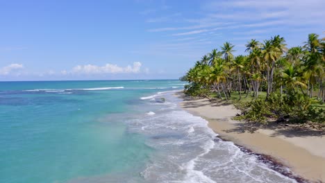Luftüberführung-Tropische-Küste-Mit-Klarem-Wasser-Und-Privatstrand-An-Sonnigen-Tagen-Auf-Der-Tropischen-Insel-Miches,-Dominikanische-Republik