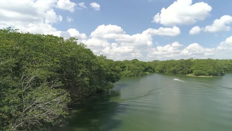 Barco-Navegando-En-El-Río-Del-Parque-Nacional-Humedales-Del-Ozama-En-República-Dominicana