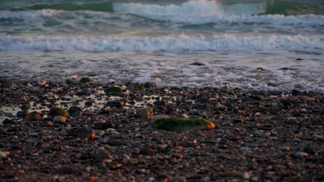 Rocky-beach-in-slow-motion-with-sandpipers-after-sundown