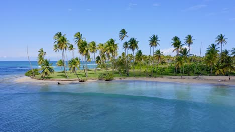 Cinematic-aerial-of-Playa-Esmeralda-Beach-with-sand,-tropical-palm-trees-and-blue-Caribbean-Sea