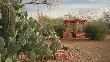 Saguaro-cactus-garden-with-gazebo,-panning-shot