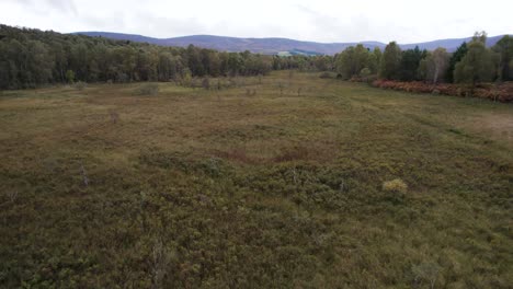 Aerial-drone-footage-flying-up-to-reveal-a-diverse-habitat-of-peat-bog-and-sphagnum-moss,-native-forest-trees,-woodland-and-moorland-at-Loch-Kinord,-Muir-of-Dinnet-National-Nature-Reserve,-Scotland