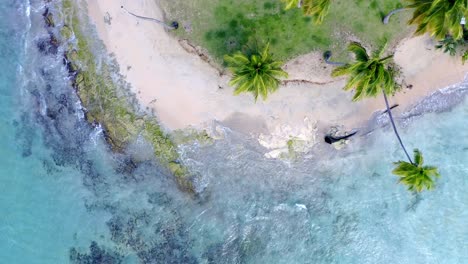 Luftbild-Von-Oben-Nach-Unten-Auf-Den-Tropischen-Weißen-Sandstrand-Mit-Palmen,-Karibik