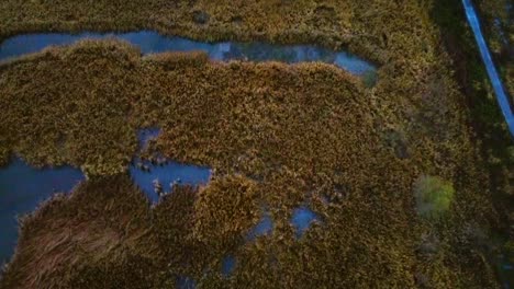 Drone-flying-over-moor-with-footpath-beside-and-rotating-gimble-upwards-to-establish-the-scene