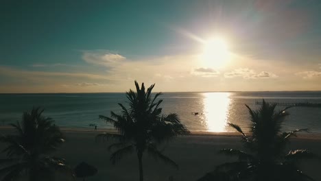 Calmer-forwards-slowly-rise-up-drone-shot-over-palmtrees-to-the-sunset-at-a-dream-beach