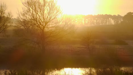 Video-En-Movimiento-Rápido-De-Un-Hermoso-Amanecer-Dorado-Sobre-El-Lago-Del-Convento-En-Thetford,-Norfolk,-Reino-Unido-Con-Niebla-Pasando-Rápidamente-En-Una-Mañana-Otoñal