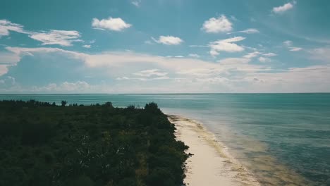 Great-backwards-slowly-sinking-down-drone-shot-at-a-lonely-beach-and-a-big-bird-fly-in-the-jungle