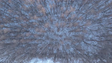 Antenne-über-Winterschneelandschaft-Karge-Bäume-In-Hokkaido