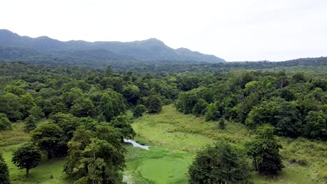 Lowering-towards-wetland-ecosystem-habitat-in-forest-landscape-of-Ira-Lalaro,-Nino-Konis-Santana-National-Park,-Timor-Leste,-aerial-drone-lowering