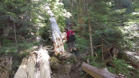 Mann-Wandert-Durch-Den-Wald-Der-Westküste,-Mount-5040,-Vancouver-Island,-Kanada